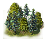 Lou building resource forest.png