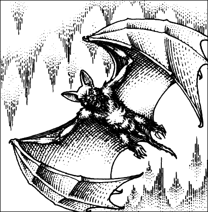 File:Bats4.gif