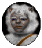 Dialogue portrait of the gwani Kapyundi