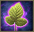 Lou resource magicleaf.png