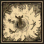 Icon wildfire.gif