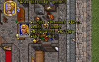 Screenshot from Ultima VII in German depicting a conversation between the player and a girl in some kind of stone building.