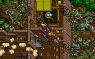 Iolo's hut in Ultima VII