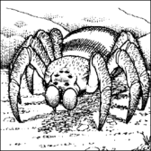 GSpider4.gif