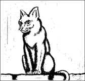 Cat2.gif