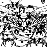 Insect Swarm