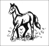 Horse3.gif