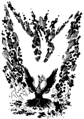 Phoenix2.gif