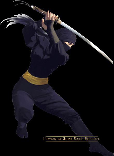 File:Female Ninja.jpg