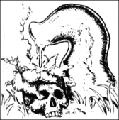 Black and white drawing of an upright slug secreting a corrosive toxin on a skull lying in grass.