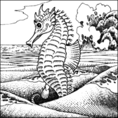 Seahorse