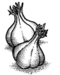 Garlic.gif
