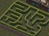 A hedge maze