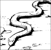 Monochrome drawing of a snake in a natural environment.
