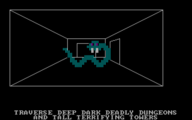 IBM PC – In a dungeon