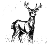 Deer2.gif