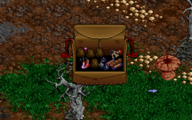 The Avatar's backpack in Ultima VIII