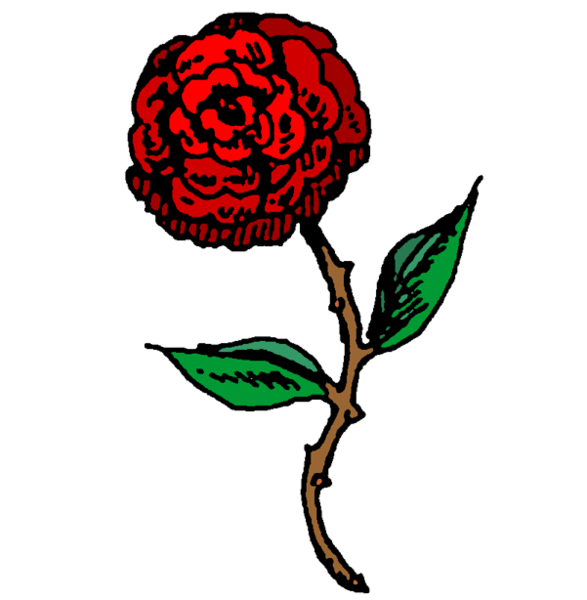 File:Rose.png