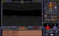Night Vision in Ultima Underworld II