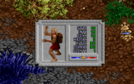 Stats in Ultima VIII