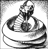 Monochrome drawing of a coiled, menacing snake hissing at the viewer.