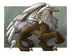 Griffin