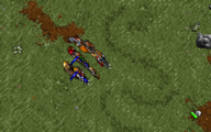 The serpent pattern in the grass in Ultima VII