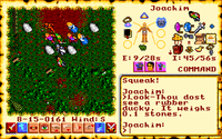 Screenshot of Ultima VI depicting 7 characters in a grassy field with the Avatar analyzing a duck.