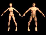 Comparison of near-nude female and male human bodies in Ultima X