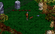 The Avatar uses the bedroll in Ultima VIII