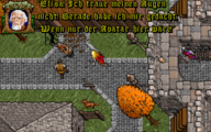 German in-game text