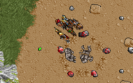 The ritual to revive Adjhar in Ultima VII