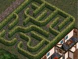Hedge maze, rotated