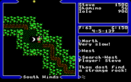Digging up a moonstone in Ultima V
