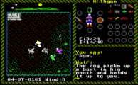 Kador in Ultima VI (C64)