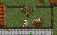 Grazing cows in Ultima VII