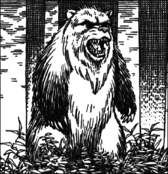Bear-U1.gif