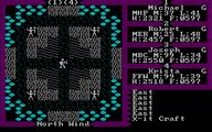 IBM PC – Overworld