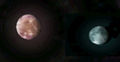 Thumbnail for version as of 09:20, 26 October 2010