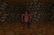 Ultima Underworld (DOS) screenshot: a pinkish brown feral troll