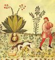 Harvesting mandrake with the aid of a dog, as shown in the Tacuinum Sanitatis