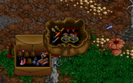 A filled bag in Ultima VIII