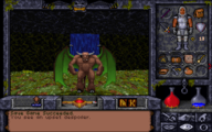 A despoiler in Ultima Underworld II