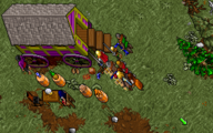 A gypsy camp in Ultima VII