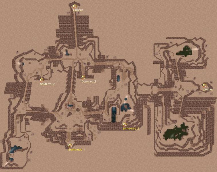 File:U6p ant mound lvl1.jpeg