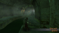 Screenshot of a medieval figure in some tunnel with a trough of liquid running through the middle of it.