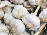 Real-life garlic