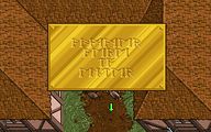A sign in runic from Ultima VII