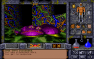 Screenshot of UI with a flattened purple creature with 3 eyes and a wide mouth, in a room that is strangely textured with floor that appears to be green slime.