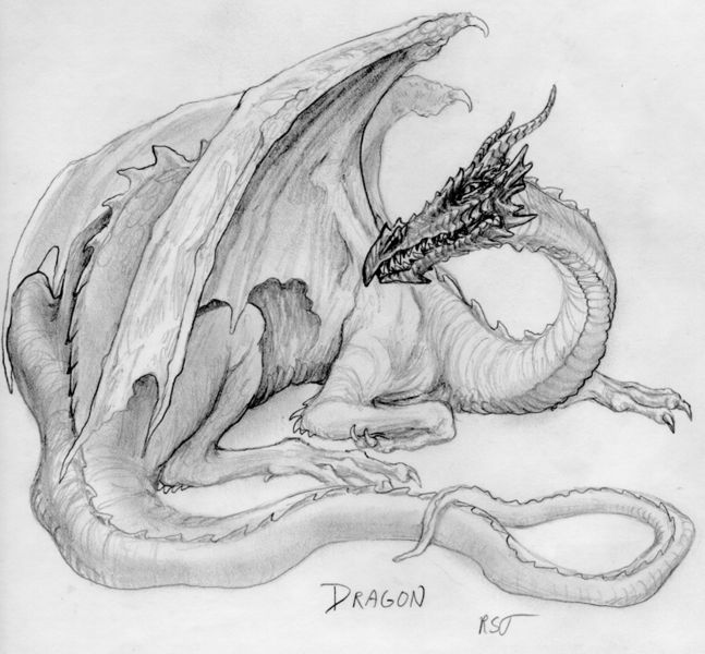 File:DragonsketchU9.jpg